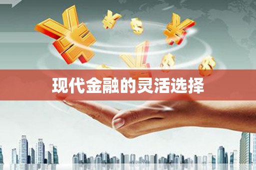 昭苏现代金融的灵活选择