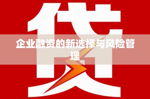 镇雄企业融资的新选择与风险管理