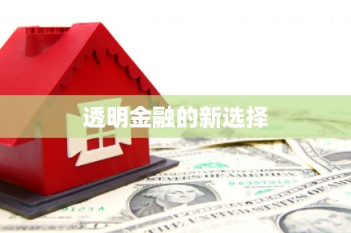 南陵透明金融的新选择