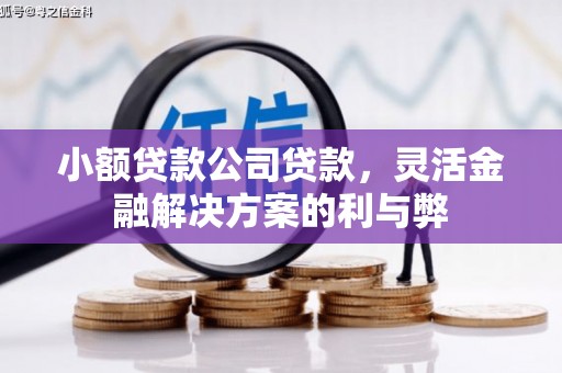 龙凤小额贷款公司贷款，灵活金融解决方案的利与弊